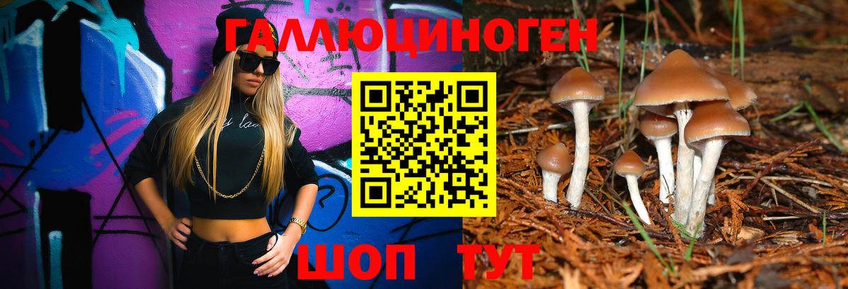 Галлюциногенные грибы прущие грибы  Галлюциногенные грибы Psilocybe  цена   Вход с VPN  Балашов 